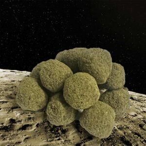 Delta 8 Pro Moon Rocks 1 (1)